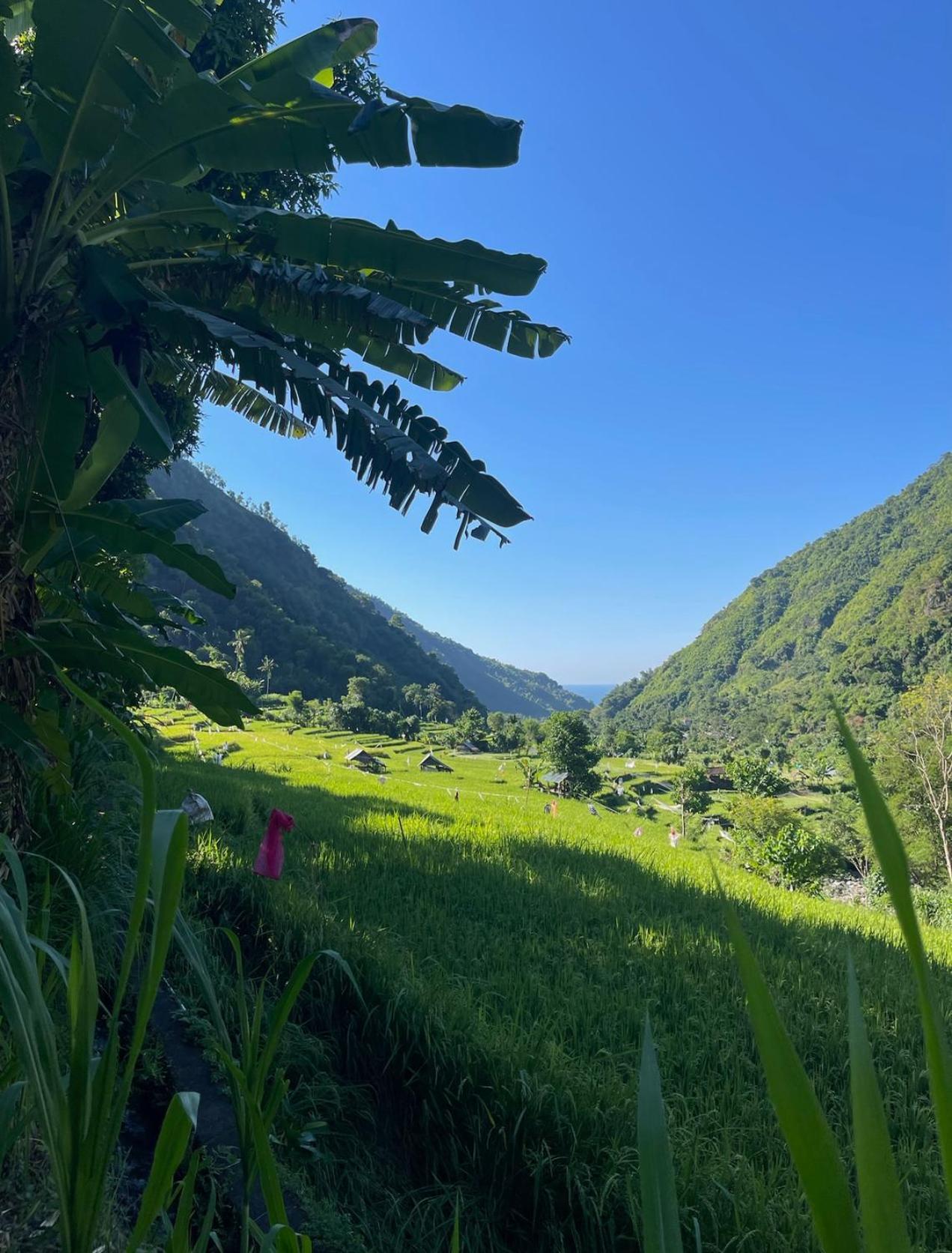 Villa Tropical Habitat Bali Amed Esterno foto