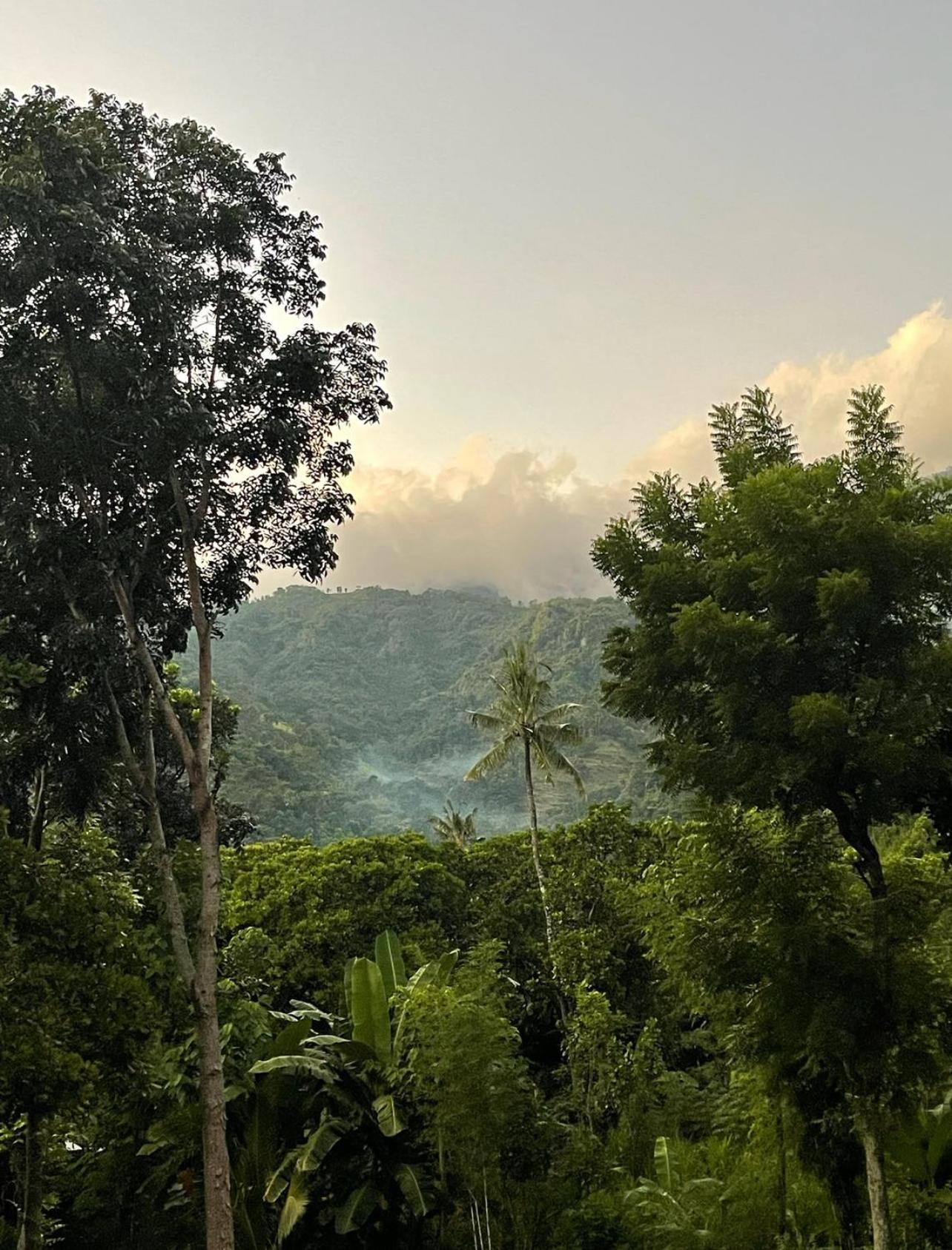 Villa Tropical Habitat Bali Amed Esterno foto