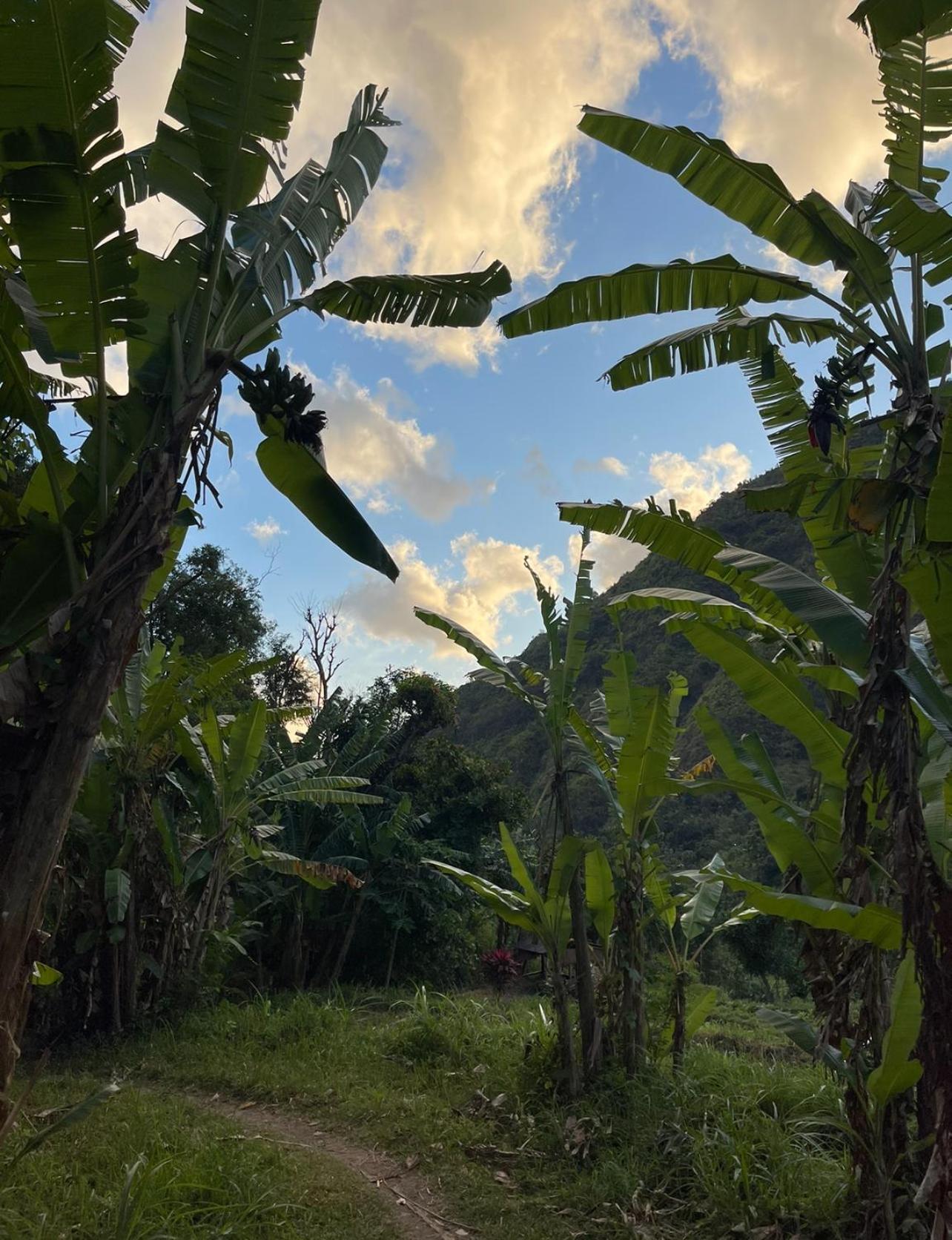 Villa Tropical Habitat Bali Amed Esterno foto
