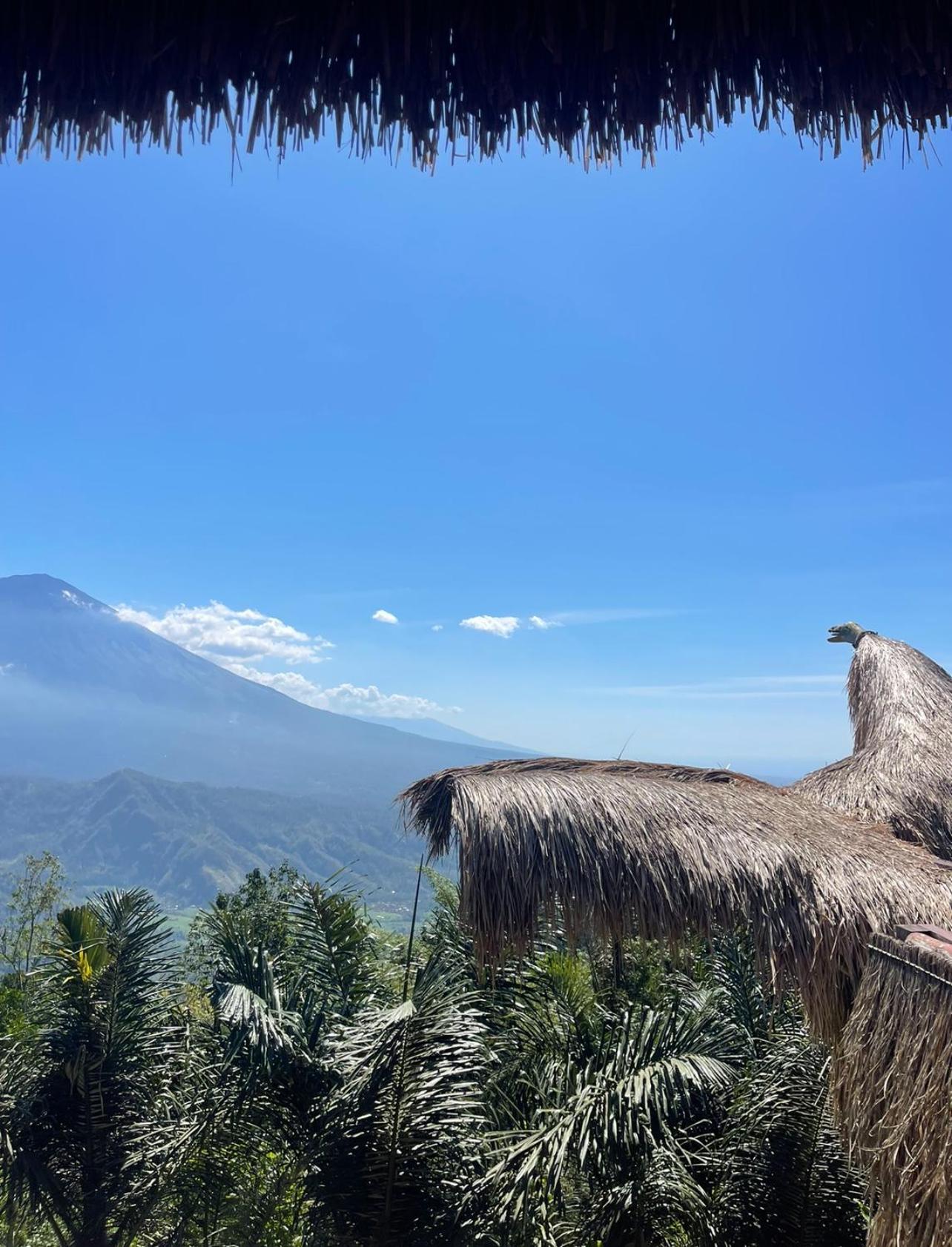 Villa Tropical Habitat Bali Amed Esterno foto