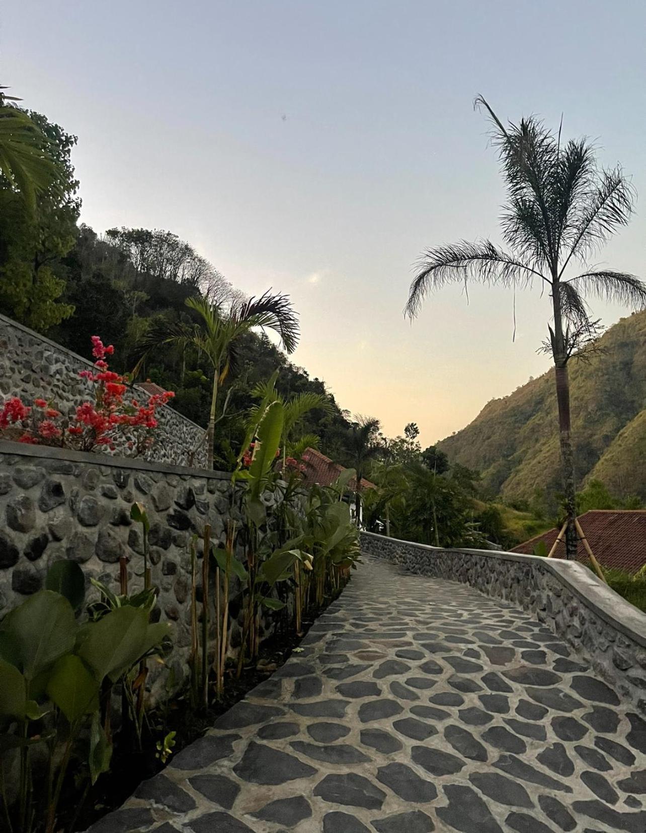 Villa Tropical Habitat Bali Amed Esterno foto